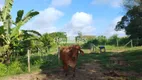 Foto 32 de Fazenda/Sítio com 4 Quartos à venda, 48000m² em Papucaia, Cachoeiras de Macacu