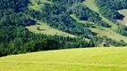 Foto 52 de Fazenda/Sítio com 3 Quartos à venda, 315000m² em Centro, Monte Sião