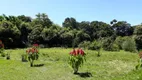 Foto 3 de Fazenda/Sítio com 3 Quartos à venda, 250m² em Centro, Pindamonhangaba