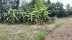 Foto 17 de Fazenda/Sítio com 1 Quarto à venda, 4000m² em Chácara Boa Vista, Campinas