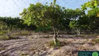 Foto 5 de Fazenda/Sítio com 3 Quartos à venda, 290000m² em Zona Rural, Cascavel