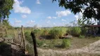 Foto 14 de Fazenda/Sítio com 3 Quartos à venda, 360000m² em Genipabú, Caucaia