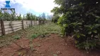 Foto 17 de Lote/Terreno à venda, 10044m² em Eucaliptos, Fazenda Rio Grande