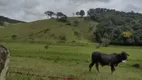 Foto 11 de Fazenda/Sítio à venda, 157300m² em Zona Rural, São José do Alegre