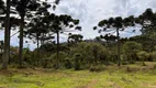 Foto 9 de Fazenda/Sítio com 1 Quarto à venda, 20000m² em , Urubici