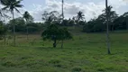 Foto 21 de Fazenda/Sítio com 3 Quartos à venda, 121000m² em Centro, Areia Branca