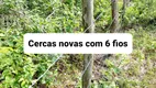 Foto 19 de Fazenda/Sítio com 3 Quartos à venda, 12000m² em Centro, Lagoa de Pedras