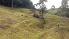 Foto 15 de Fazenda/Sítio à venda, 20000m² em Zona Rural, São Pedro de Alcântara