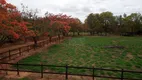 Foto 18 de Fazenda/Sítio com 10 Quartos para venda ou aluguel, 700m² em Zona Rural, Boa Esperança do Sul