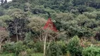 Foto 5 de Fazenda/Sítio com 4 Quartos à venda, 210m² em Freguesia da Escada, Guararema