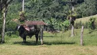 Foto 27 de Fazenda/Sítio com 3 Quartos à venda, 200m² em Vila Nova, Joinville