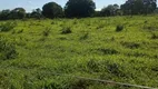 Foto 9 de Fazenda/Sítio à venda, 3000000m² em Zona Rural, Riachinho