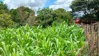 Foto 40 de Fazenda/Sítio com 3 Quartos à venda, 180000m² em Area Rural de Planaltina, Brasília