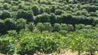 Foto 5 de Fazenda/Sítio à venda, 24200m² em Niteroi, Atilio Vivacqua