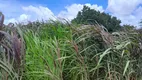 Foto 2 de Fazenda/Sítio com 3 Quartos à venda, 27000m² em Monte Alegre, Monte Alegre