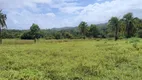 Foto 6 de Fazenda/Sítio com 3 Quartos à venda, 25000m² em Centro, Nísia Floresta