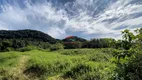 Foto 65 de Fazenda/Sítio com 4 Quartos à venda, 145000m² em Centro, Miracatu