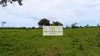 Foto 3 de Fazenda/Sítio com 10 Quartos à venda, 800m² em Vila Cearense, Araguaína