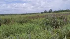 Foto 11 de Fazenda/Sítio com 3 Quartos à venda, 16000m² em Centro, Vera Cruz