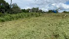 Foto 38 de Fazenda/Sítio com 3 Quartos à venda, 400000m² em Zona Rural, Santo Antônio do Pinhal