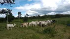 Foto 18 de Fazenda/Sítio com 2 Quartos à venda, 540000m² em Centro, Taiobeiras