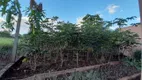 Foto 24 de Fazenda/Sítio com 5 Quartos à venda, 1000m² em Usina Três Bocas, Londrina