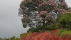 Foto 9 de Fazenda/Sítio com 1 Quarto à venda, 1200m² em Zona Rural, Marmelópolis