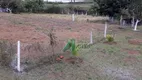 Foto 7 de Fazenda/Sítio com 4 Quartos à venda, 17200m² em Lagoa Santo Antônio, Pedro Leopoldo