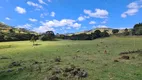 Foto 11 de Fazenda/Sítio à venda, 90000m² em Perico, São Joaquim