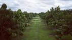 Foto 5 de Fazenda/Sítio à venda em Centro, Jaíba