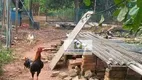 Foto 2 de Fazenda/Sítio com 5 Quartos à venda, 2000m² em Zona Rural, São José do Rio Preto