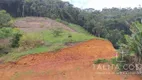 Foto 2 de Lote/Terreno à venda, 58000m² em Santa Maria de Marechal, Marechal Floriano