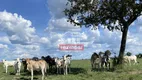 Foto 2 de Fazenda/Sítio à venda em Zona Rural, Araguapaz