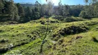 Foto 8 de Fazenda/Sítio com 2 Quartos à venda, 253000m² em Centro, Benedito Novo