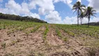 Foto 8 de Fazenda/Sítio com 1 Quarto à venda, 26000m² em Zona Rural, Mamanguape