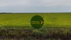Foto 7 de Fazenda/Sítio à venda, 52460000m² em Zona Rural, Miranda