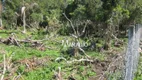 Foto 2 de Lote/Terreno à venda, 3575m² em Ingleses do Rio Vermelho, Florianópolis