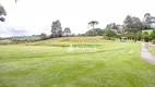 Foto 76 de Fazenda/Sítio com 5 Quartos à venda, 90000m² em Botiatuba, Almirante Tamandaré