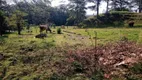 Foto 7 de Fazenda/Sítio com 3 Quartos à venda, 110m² em Vila Nova, Joinville