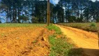 Foto 2 de Lote/Terreno à venda, 500m² em Lapa, São Paulo