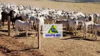 Foto 24 de Fazenda/Sítio à venda, 175000000m² em Zona Rural, Água Boa