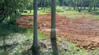 Foto 2 de Lote/Terreno à venda, 1000m² em Lomba Grande, Novo Hamburgo