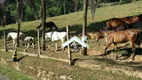 Foto 17 de Fazenda/Sítio com 3 Quartos à venda, 600m² em Vale das Pedrinhas, Guapimirim