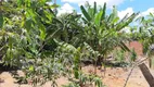 Foto 20 de Fazenda/Sítio com 3 Quartos à venda, 4500m² em Area Rural do Paranoa, Brasília