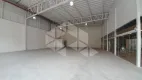 Foto 13 de Sala Comercial para alugar, 53m² em Coqueiros, Florianópolis