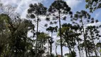 Foto 13 de Fazenda/Sítio com 2 Quartos à venda, 20800m² em Zona Rural, Rio Negrinho