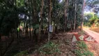 Foto 2 de Fazenda/Sítio com 1 Quarto à venda, 5000m² em Campestre da Faxina, São José dos Pinhais