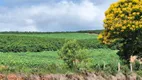 Foto 11 de Fazenda/Sítio à venda, 455000m² em Zona Rural, Turvolândia