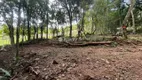 Foto 17 de Lote/Terreno à venda, 10000m² em , Monte Belo do Sul