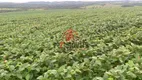 Foto 12 de Lote/Terreno à venda em , Pires do Rio